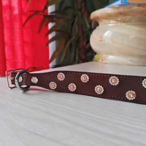 Handmade Leather Cat Coller