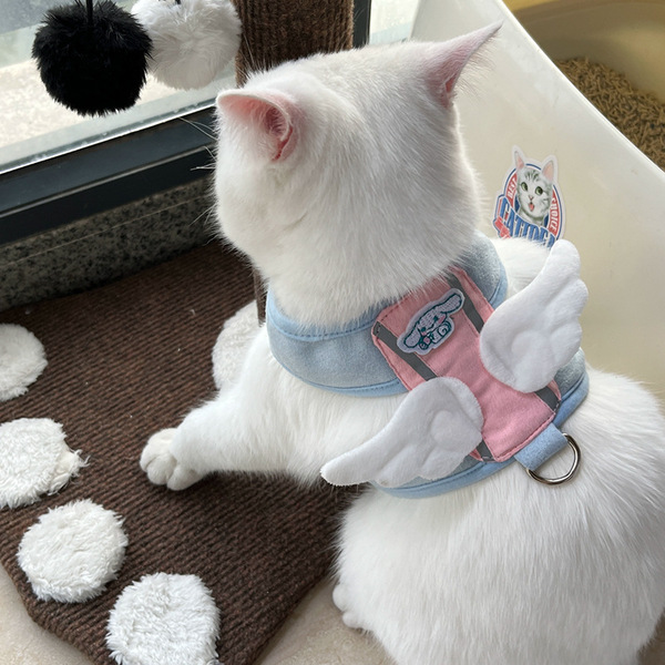 Cat Leash with High Aesthetic Appeal