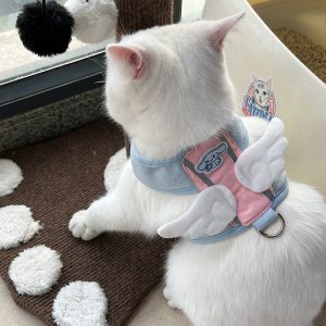 Cat Leash with High Aesthetic Appeal