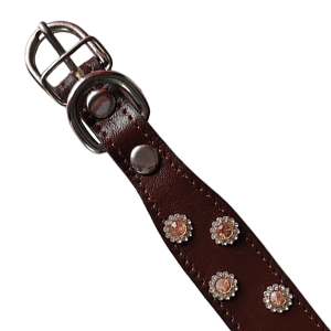 Handmade Leather Belt for Cat